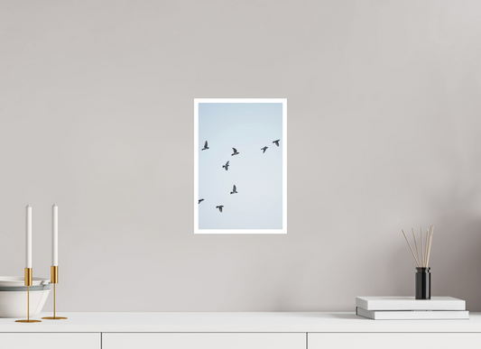 Flock in the Sky
