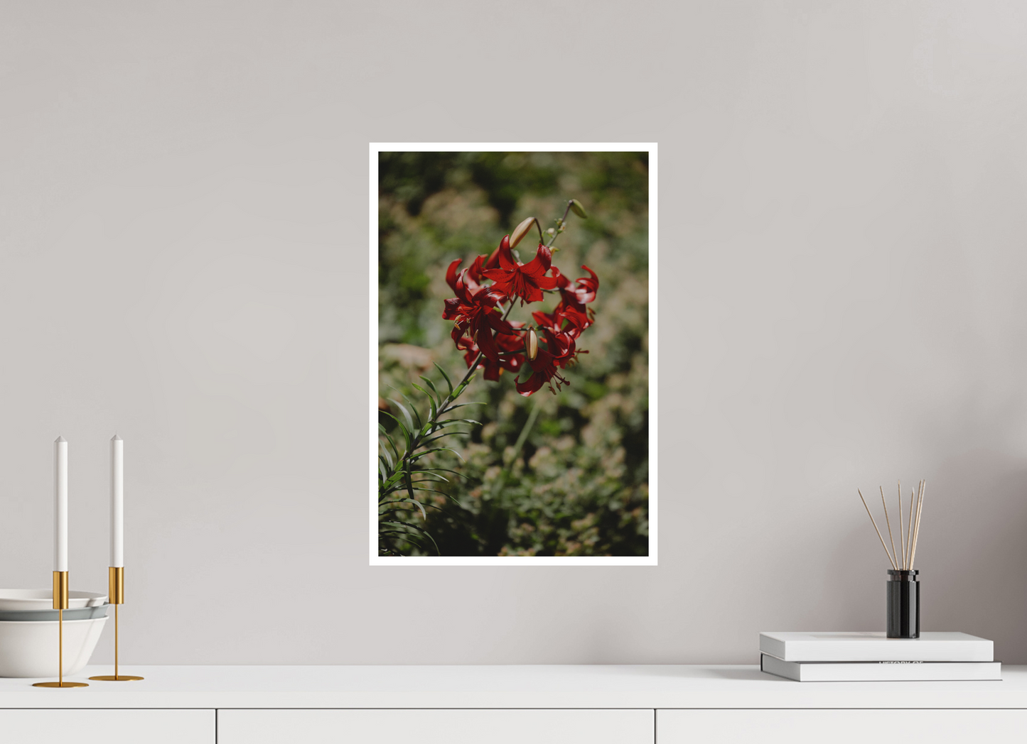 Scarlet Lily