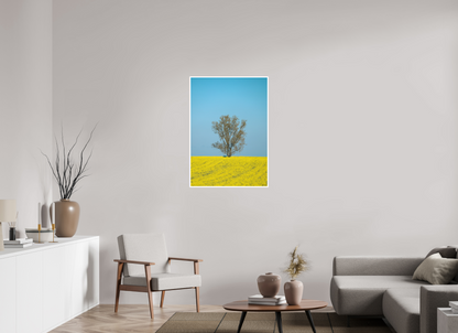 Solitary Tree in Spring