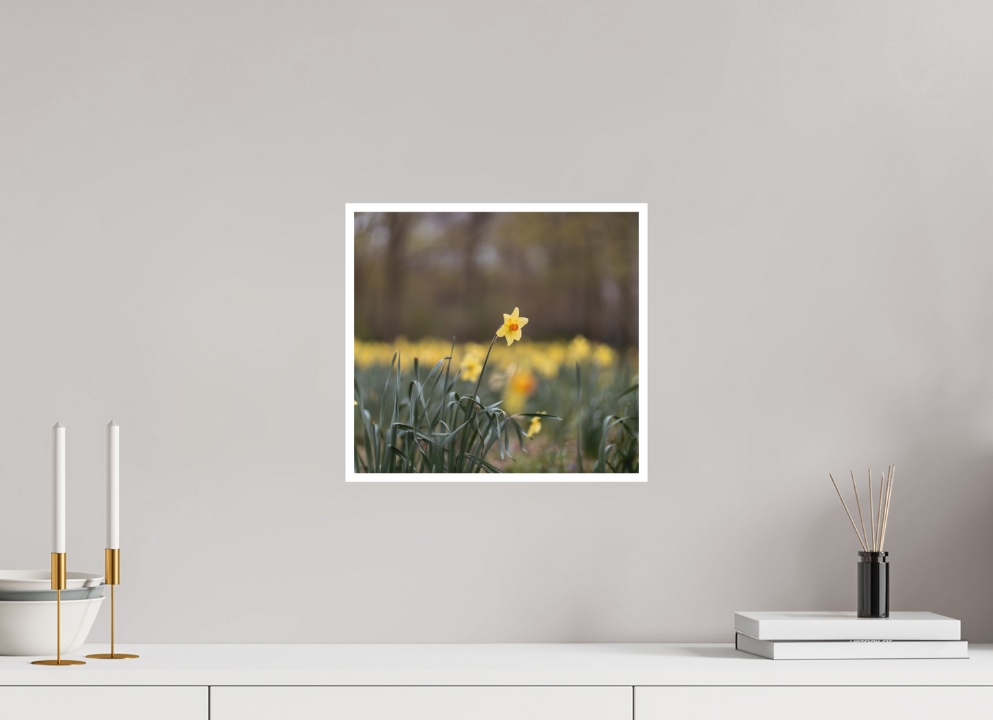Spring Daffodil