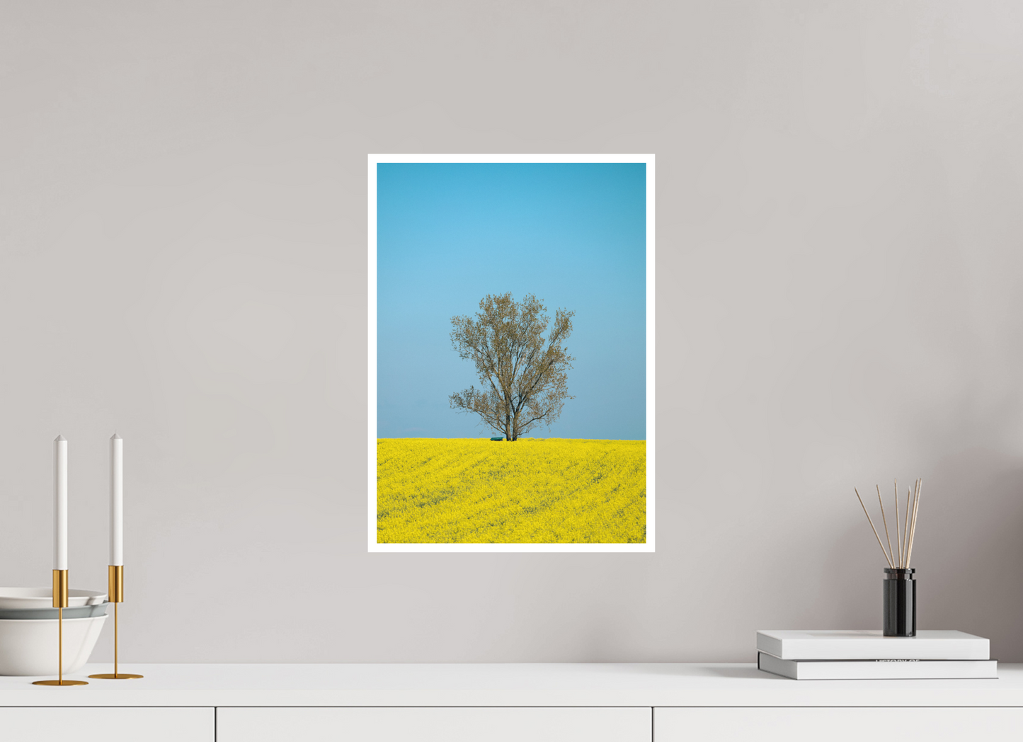 Solitary Tree in Spring