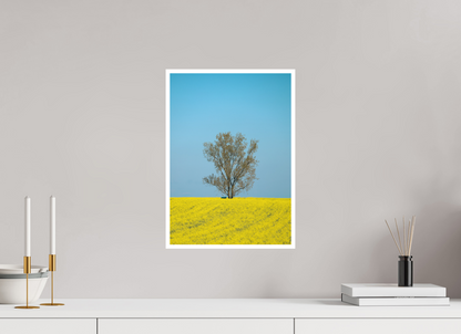 Solitary Tree in Spring