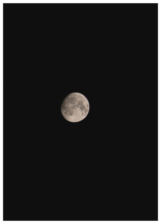 Moonlight Stillness