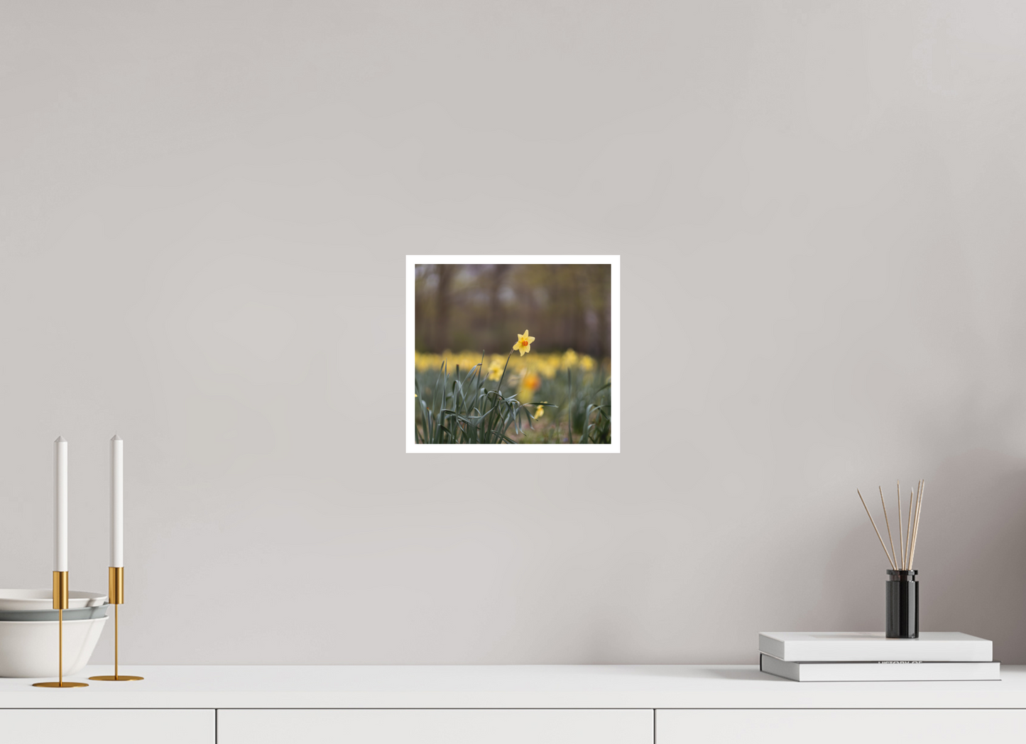 Spring Daffodil