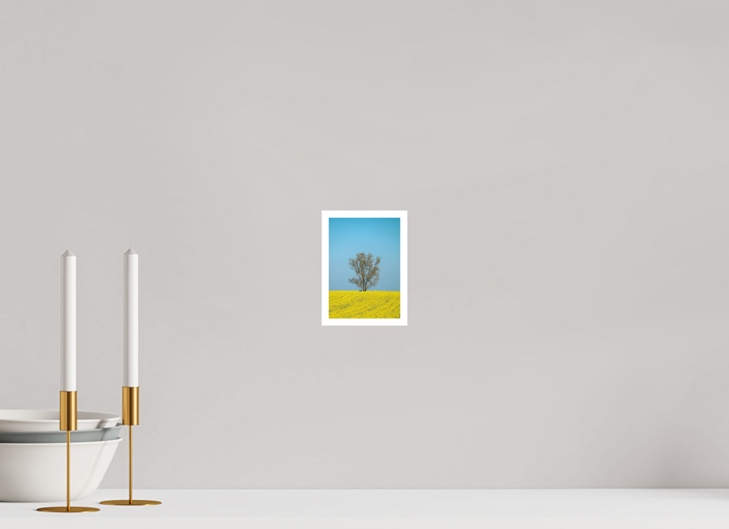 Solitary Tree in Spring