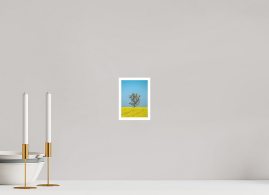 Solitary Tree in Spring