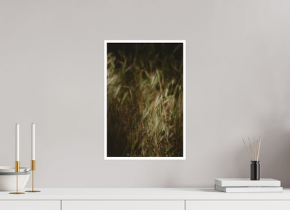 Whispers in the Grass