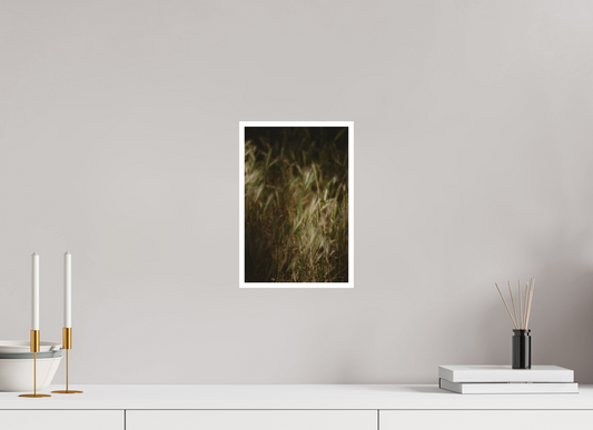 Whispers in the Grass