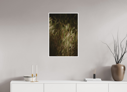 Whispers in the Grass